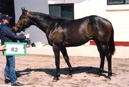 �˽����� ����