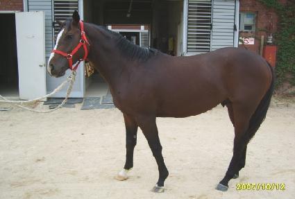 �����췯�� ����