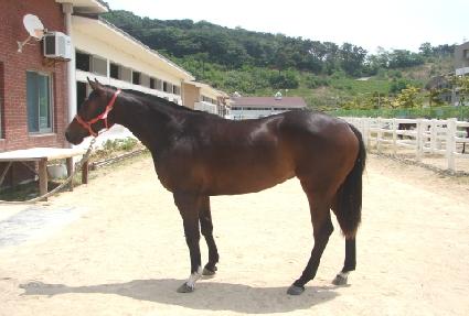 Ư���ذ�� ����