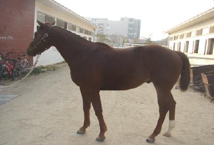 ��ȣ��ü ����