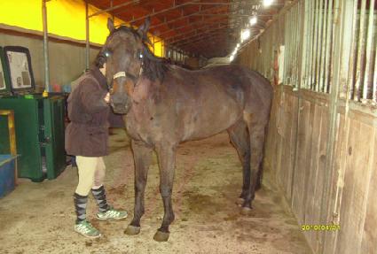 �۽��ȱ۷θ� ����