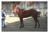 ���̵���° (BOGIDEONGGULJJAE) ����