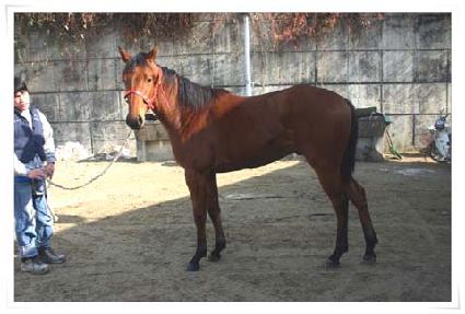 ���̵���° ����