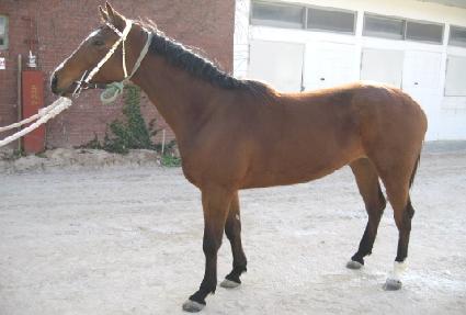 �����¡�ε� ����