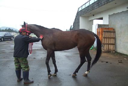 �Ѱ��Ŀ� ����