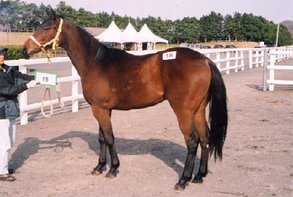 ���繫�� ����