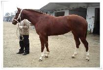 ��ΰ�ä (MODUGALCHAE) ����