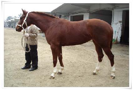 ��ΰ�ä ����