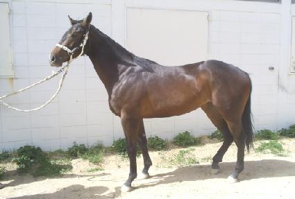 ��Ʈ�� ����