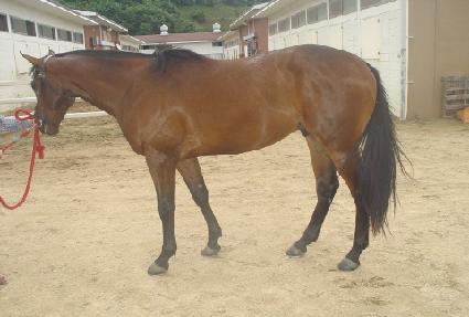 ����õ�� ����