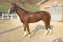 �Ż� (SINSAN) ����