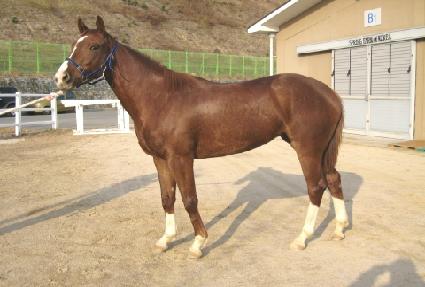 �Ż� ����