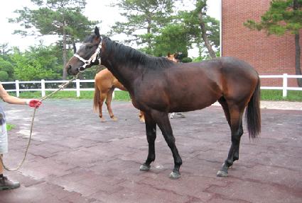 Ʈ������ ����