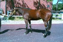 Ʈ���Ƚ� (TROPICS) ����