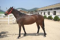 �Ƹ� (AMOUR) ����