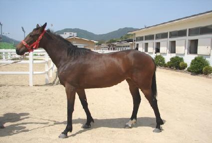 �Ƹ� ����