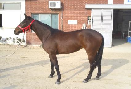 ��������Ʈ ����