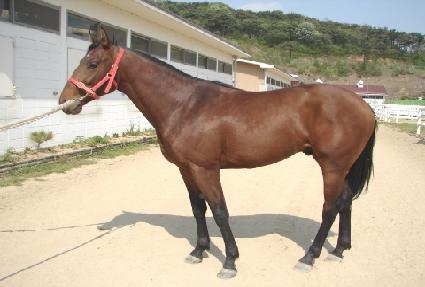 �����ο� ����