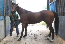 JEOLHO CHANCE picture