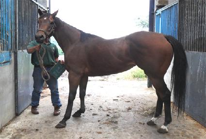 ��ȣ���� ����