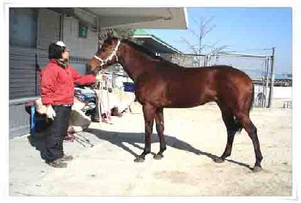 ĳ������ ����