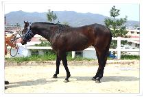 �Ž� (PAX) ����