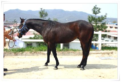 �Ž� ����