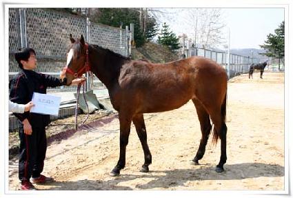 ��Ʈ���� ����