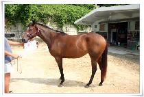 ������Ȥ (JILJUYUHOK) ����