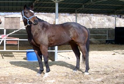 ����Ʈ���� ����