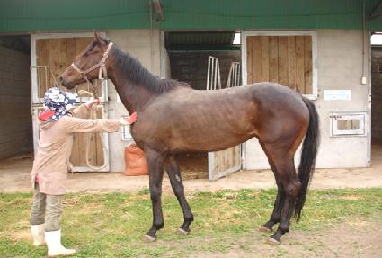 ���ճ��� ����