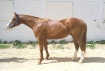 �������� (YEONGUNG MANSE) ����