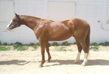 �������� ����