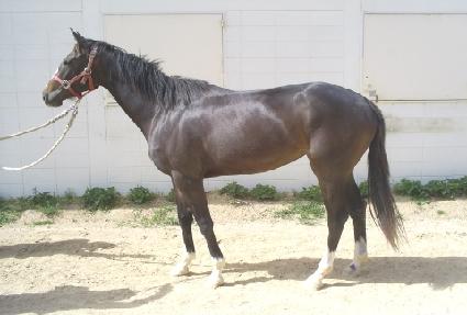 ���ѵ帲 ����