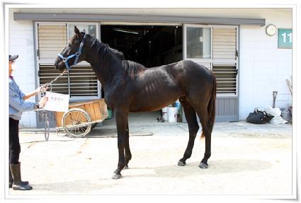 û��� ����