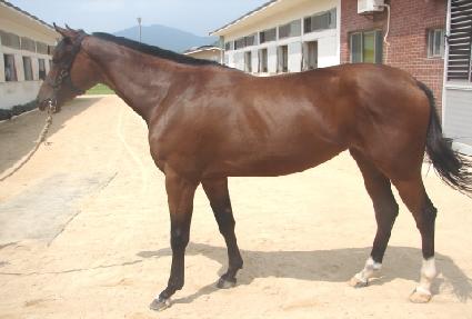 �ױ��θǽ� ����