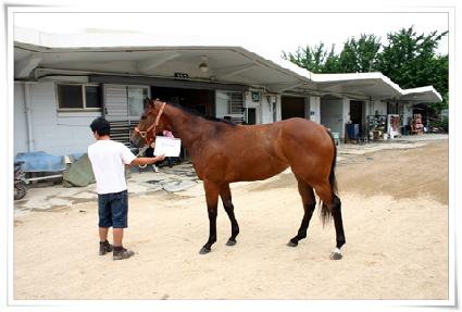 �������� ����