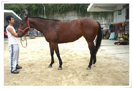 ���ع�½ ����