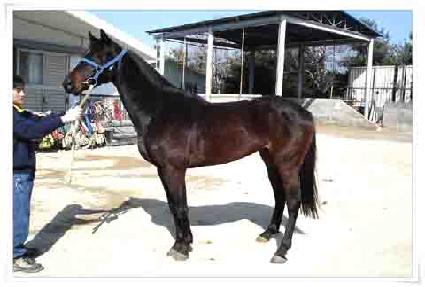 ���� ����