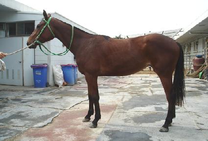 ������ǲ� ����