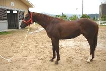 ��巯�� (GOLD LOVE) ����