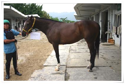 ���׸ӽ� ����