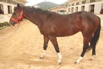 ������ (GAEULBI) ����