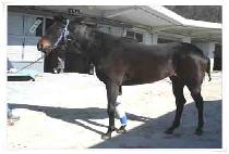 �����Ǻ� (MUN HAG UI BYEOL) ����