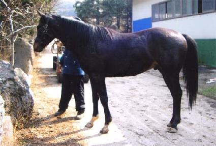 �ٰ��ٰ� ����