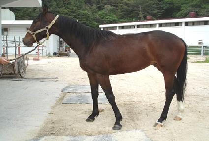 ���ص�۷θ� ����