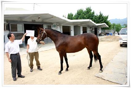 ����̻� ����