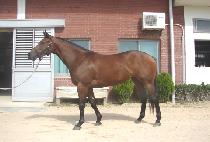 ���ȯȣ (DAESEUNG HWANHO) ����