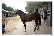 �����ڸ� (BEONGAE JAMAE) ����