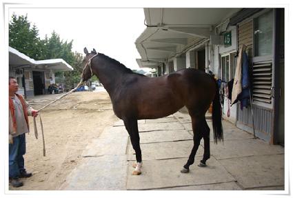 �����ڸ� ����